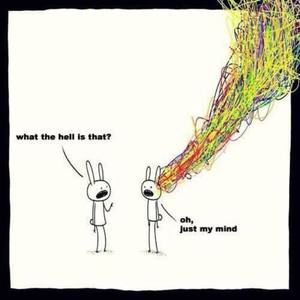 Meet your Posher, Rima